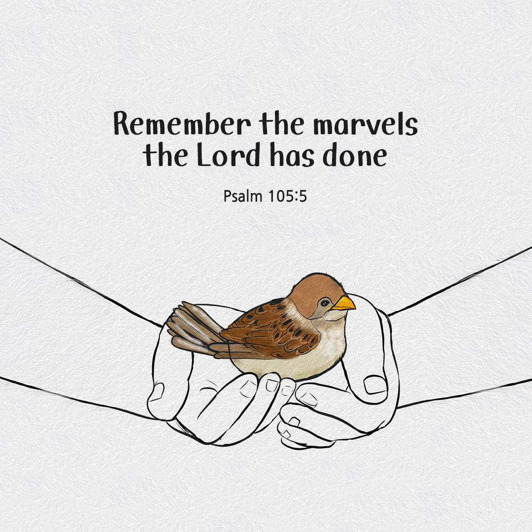 Remember the marvels the Lord has done. (Psalm 105:5) by pieonane Daily Bible quote image