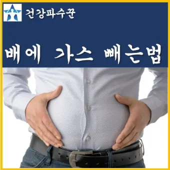 배에 가스가 차고 방귀를 자주 뀜 원인부터 해결책까지 한번에 알아보기_3