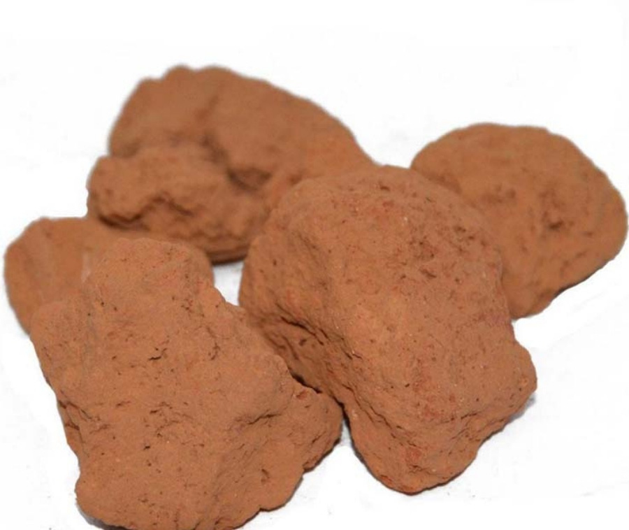 야생에서 채취를 한 복룡간 4덩어리를 하얀 바닥 위에 놓아두고 확대를 하여 찍은 사진