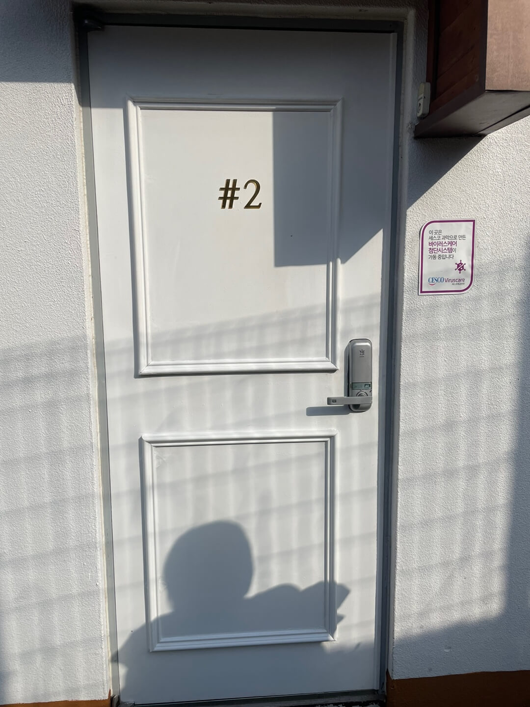 엘시아 애견풀빌라