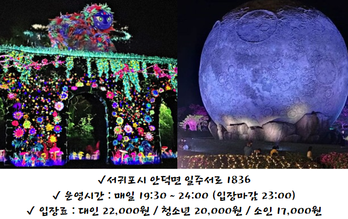 서귀포 루나폴 - 야간 제주 가볼만한 곳