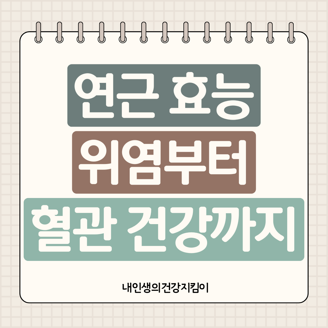 연근 효능 8가지 ❘ 위염부터 혈관 건강까지 책임지는 뿌리채소