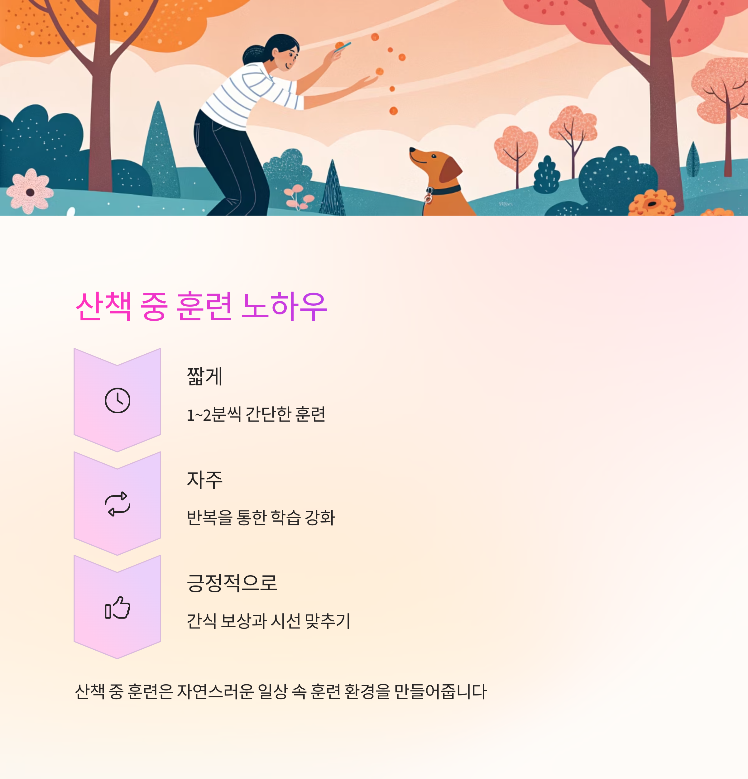 산책 중 훈련