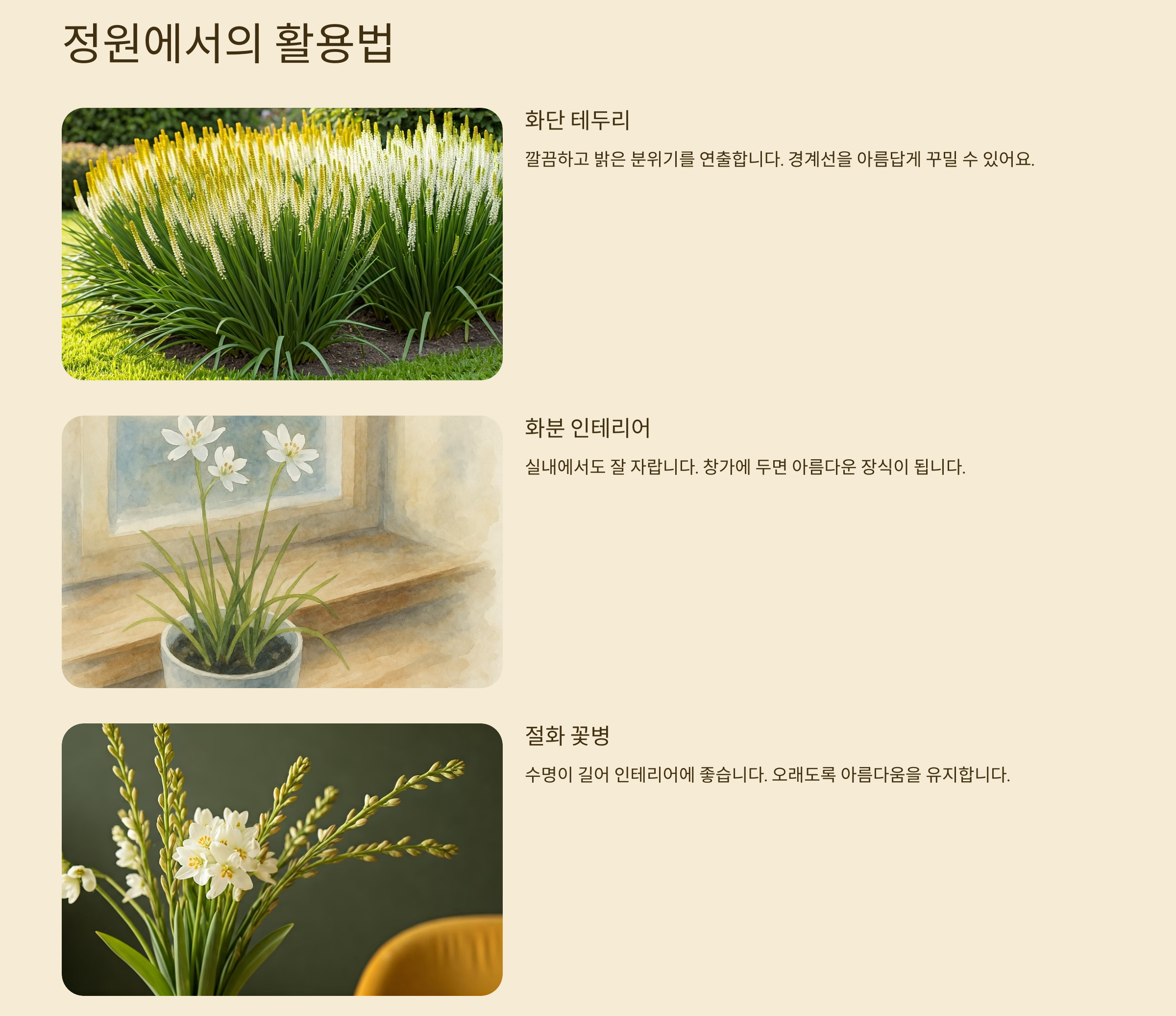 오니소갈룸