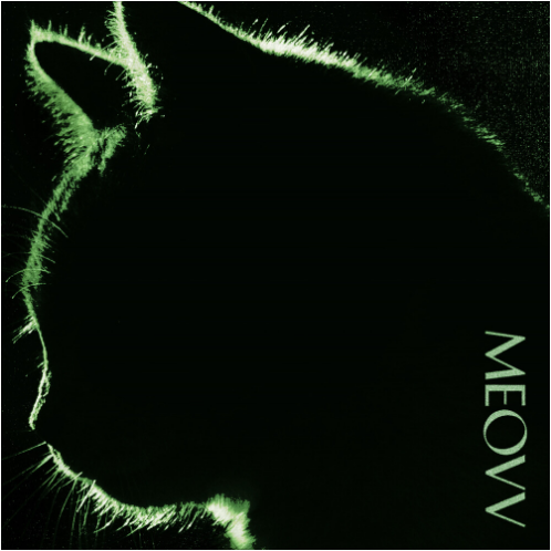 MEOVV(미야오) BODY(바디) 앨범 사진