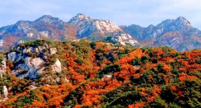 2025 북한산 단풍 절정 날짜 공개! 가을 등산 초보자 코스 & 꿀팁