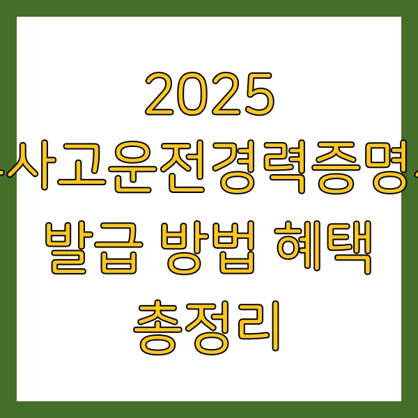 2025 무사고운전경력증명서 발급 방법 혜택 총정리