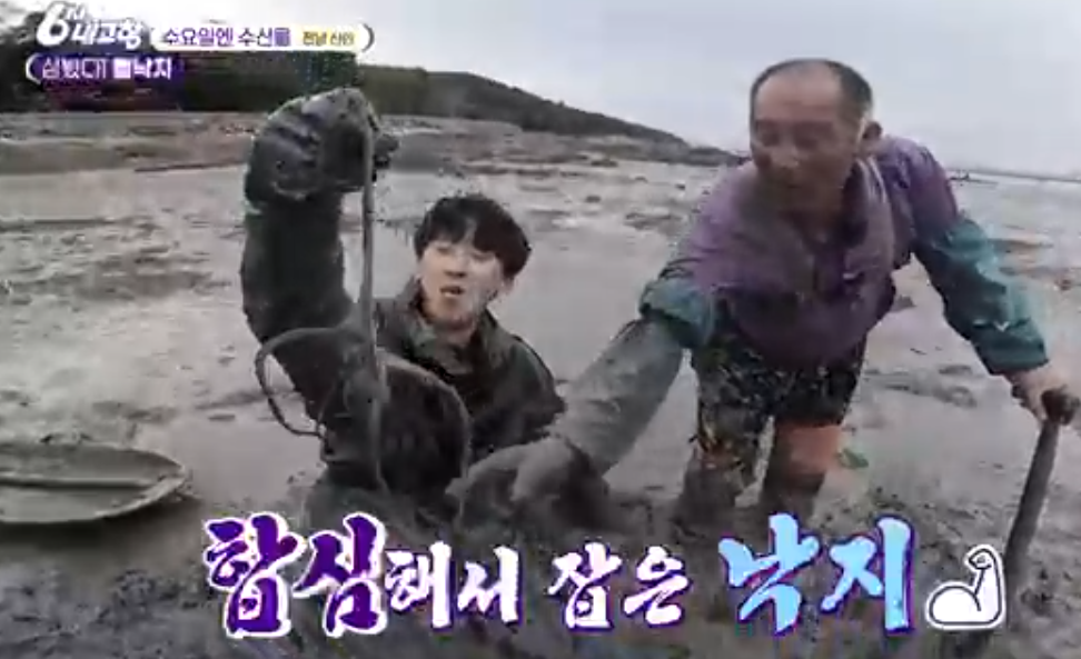 신안 뻘낙지