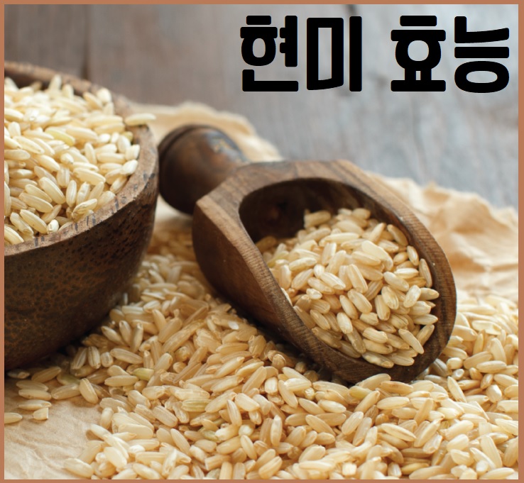 현미 효능