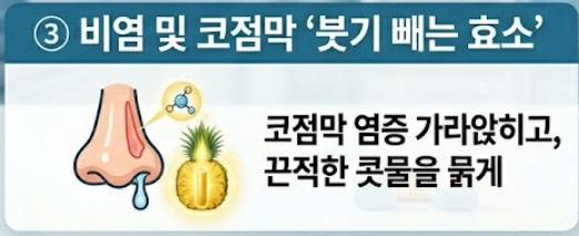브로멜라인 효능