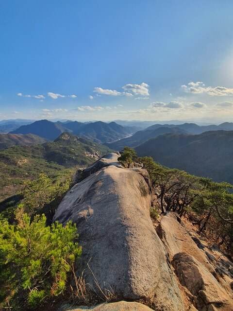 자연휴양림 숲나들e 예약방법, 내가 추천하는 자연휴양림 Best 3