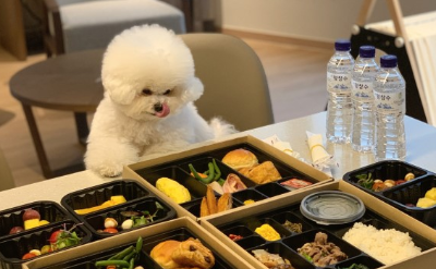 애견동반숙소