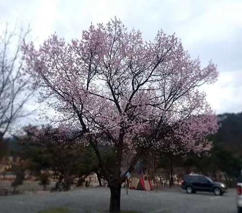 계곡메사오토캠핑장펜션
