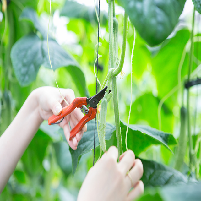 농업교육포털 회원가입