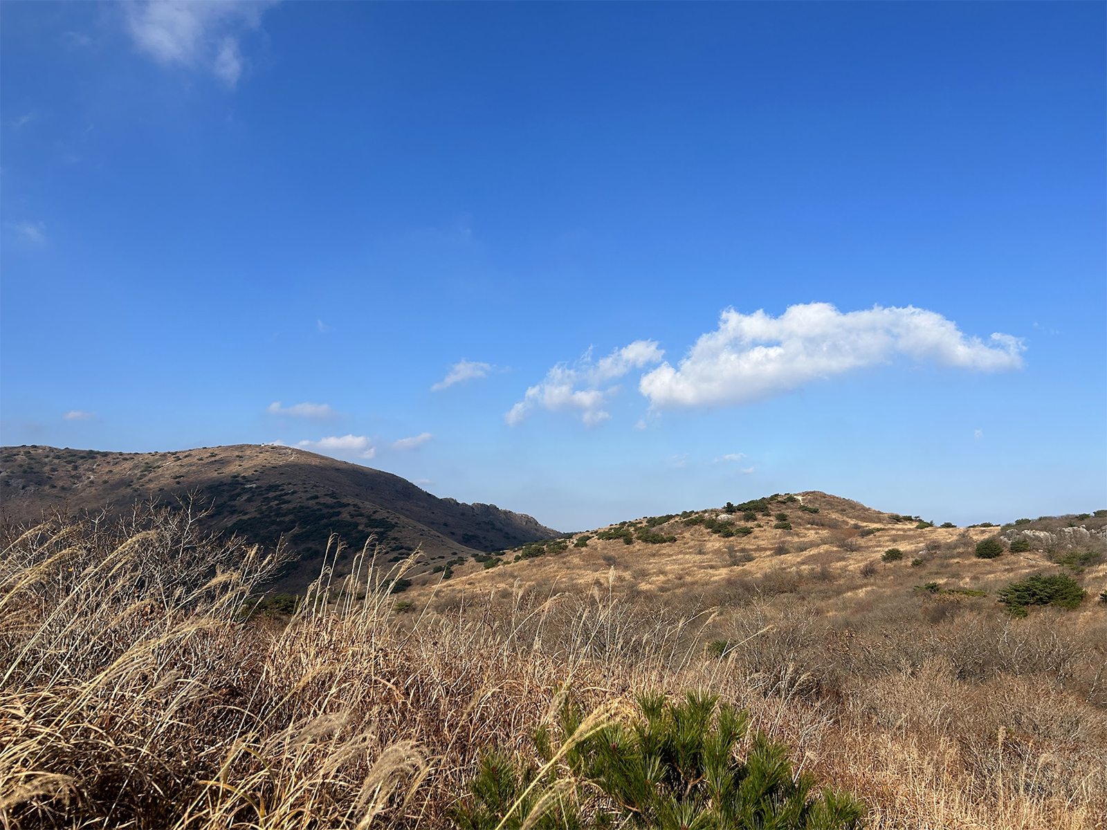 영축산에서 신불재 가능 등산로