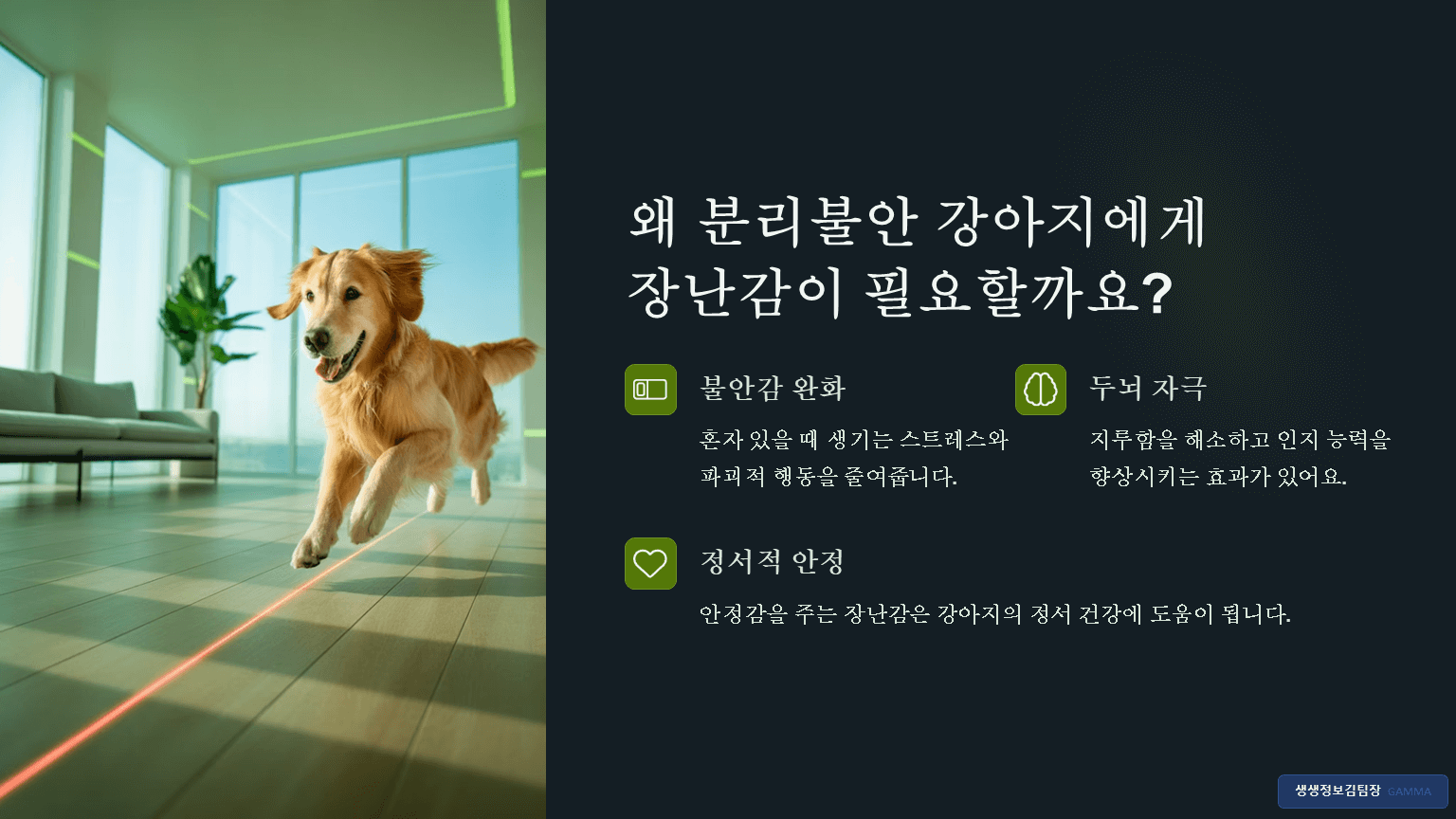 분리불안 강아지 장난감 추천