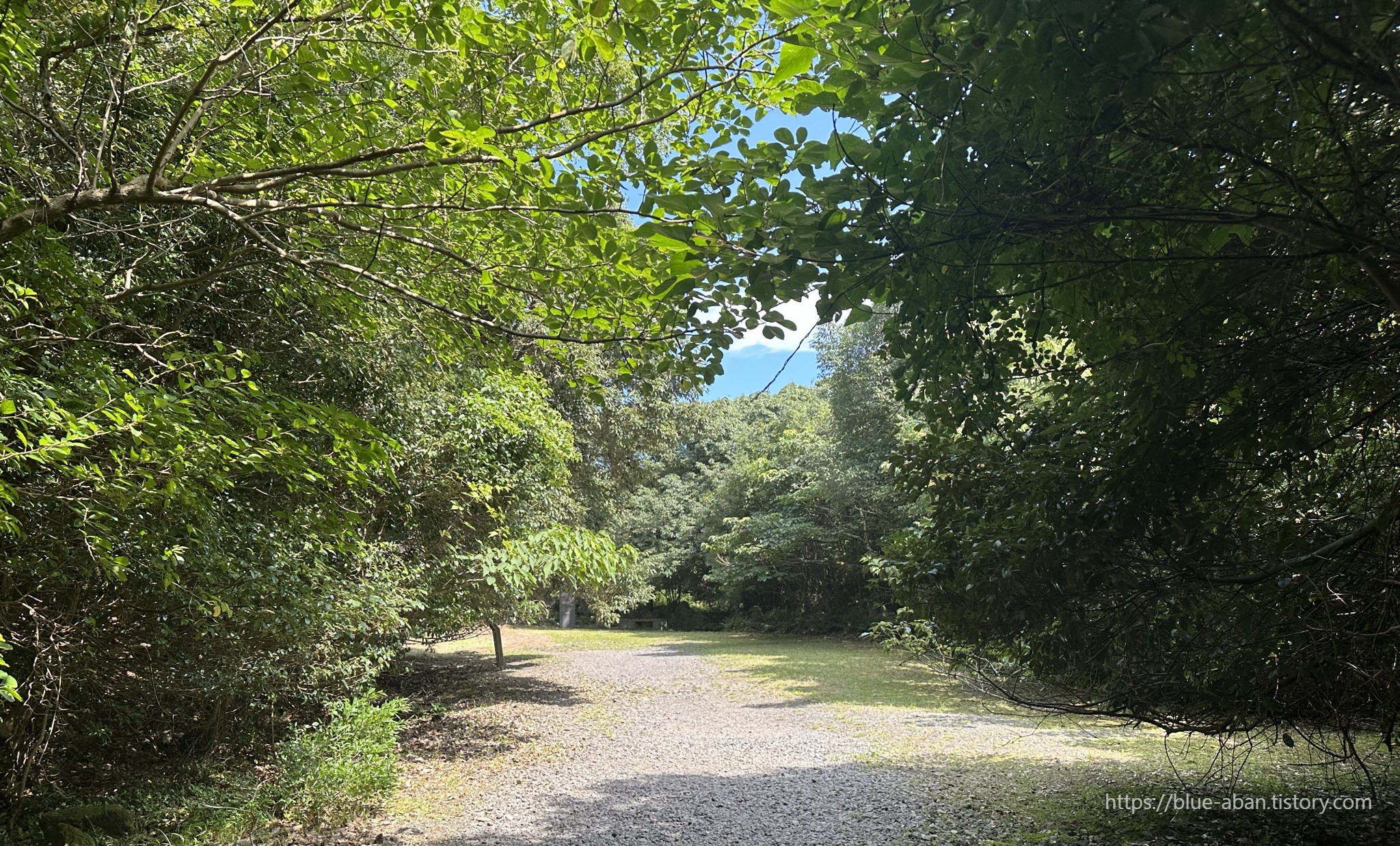 동백동산-산책로