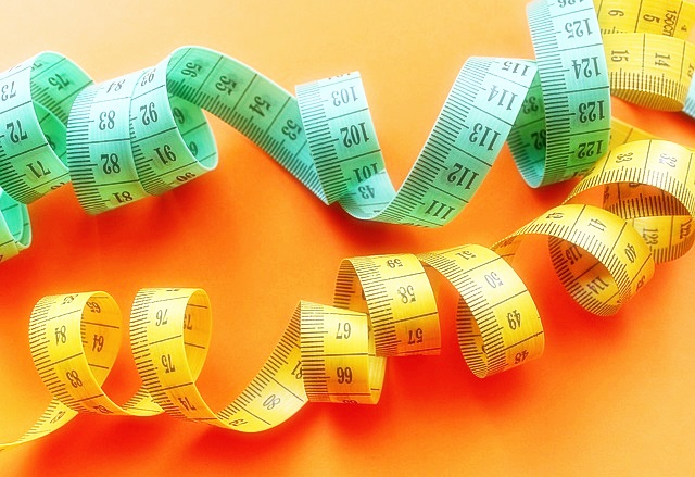 인치 센티(치) 변환