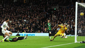 토트넘 브라이튼