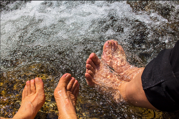 2020년 복날에 먹는 음식들과 삼복더위의 의미를 알려주는 이미지로 각종 피서지와 피서방법 보양음식이 담겨있다.