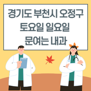 부천시 오정구 토요일 일요일 내과 진료 문여는 병원 리스트