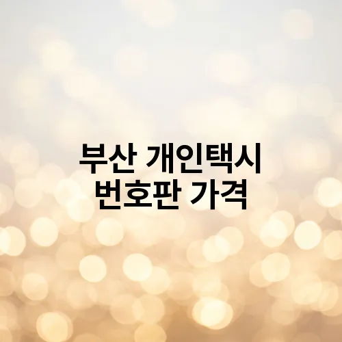 부산 개인택시 번호판 가격