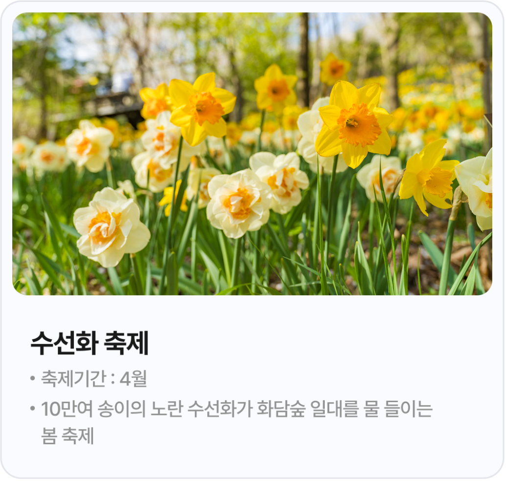 화담숲 예약안내 모노레인 예매 벚꽃 수선화 축제 안내