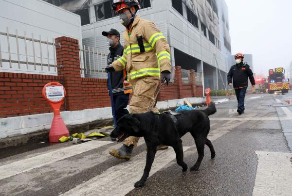 대전 문평동 안전공업 화재 실종자 14명 전원 사망