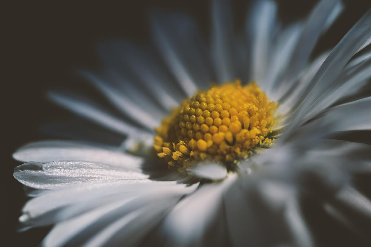 그분은 쌀 한 톨도 허투루 보지 않던 사람이었다