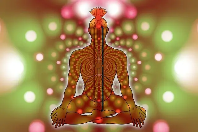 레이키의 역사에 대해 알아봐요.