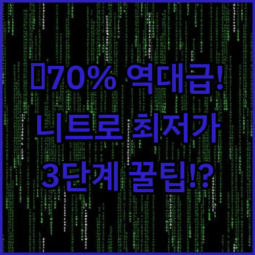 디스코드 니트로 70% 할인 겜스고 ..