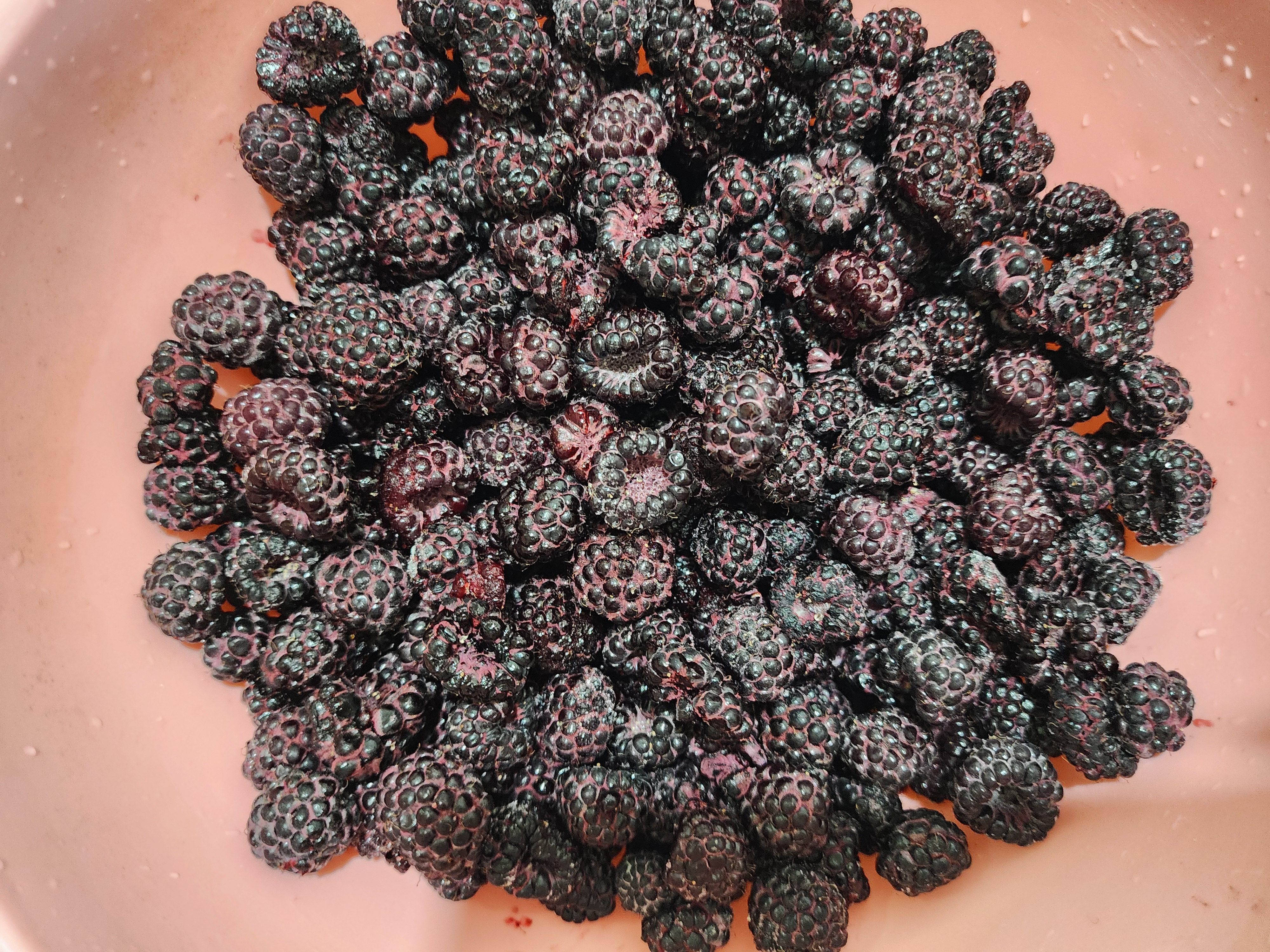 복분자청 만들기&amp;#44; 복분자청 먹는법