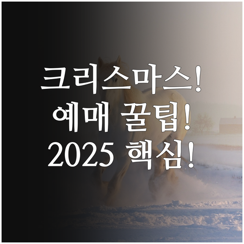 롯데월드 2025 크리스마스 미라클 ..