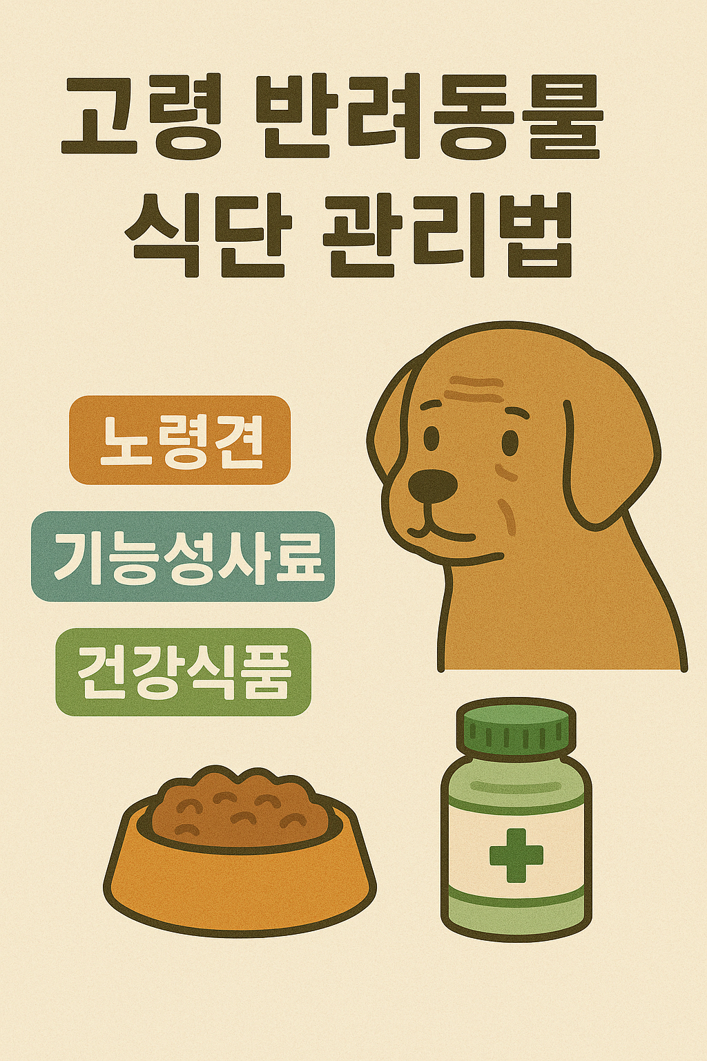 고령 반려동물 식단 관리법