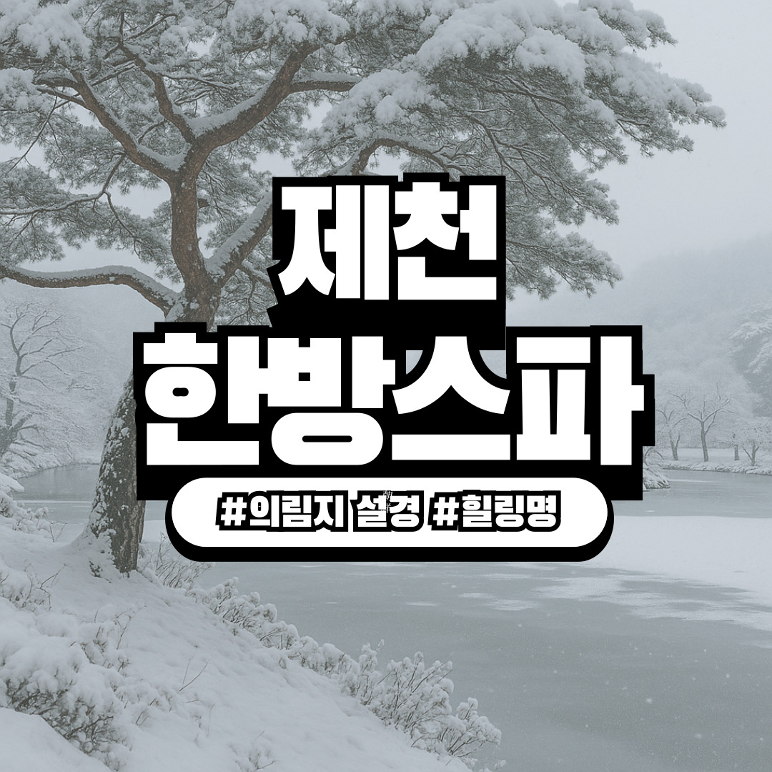 충북 제천 ‘의림지 설경 & 한방스파 힐링 코스’ – 겨울 감성 가득한 치유 여행