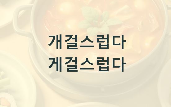개걸스럽다 뜻 게걸스럽다 뜻