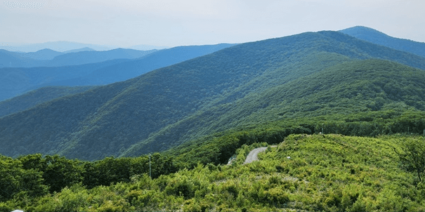 가을 바다 열차 여행 추천