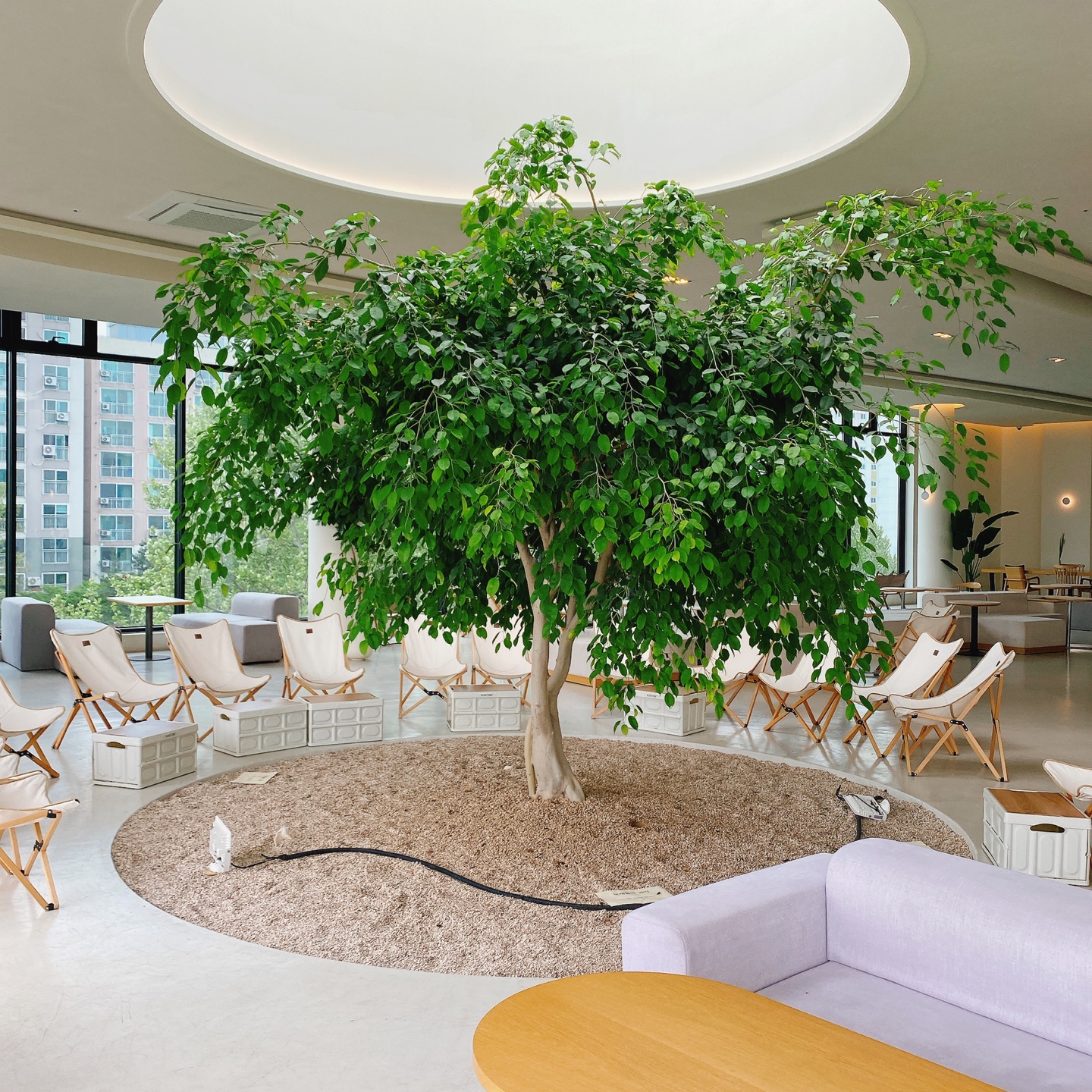 대전 대형베이커리 카페 크로넛 유성공원 에이트 aight