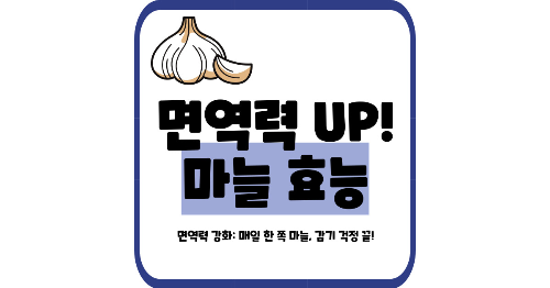 마늘 효능