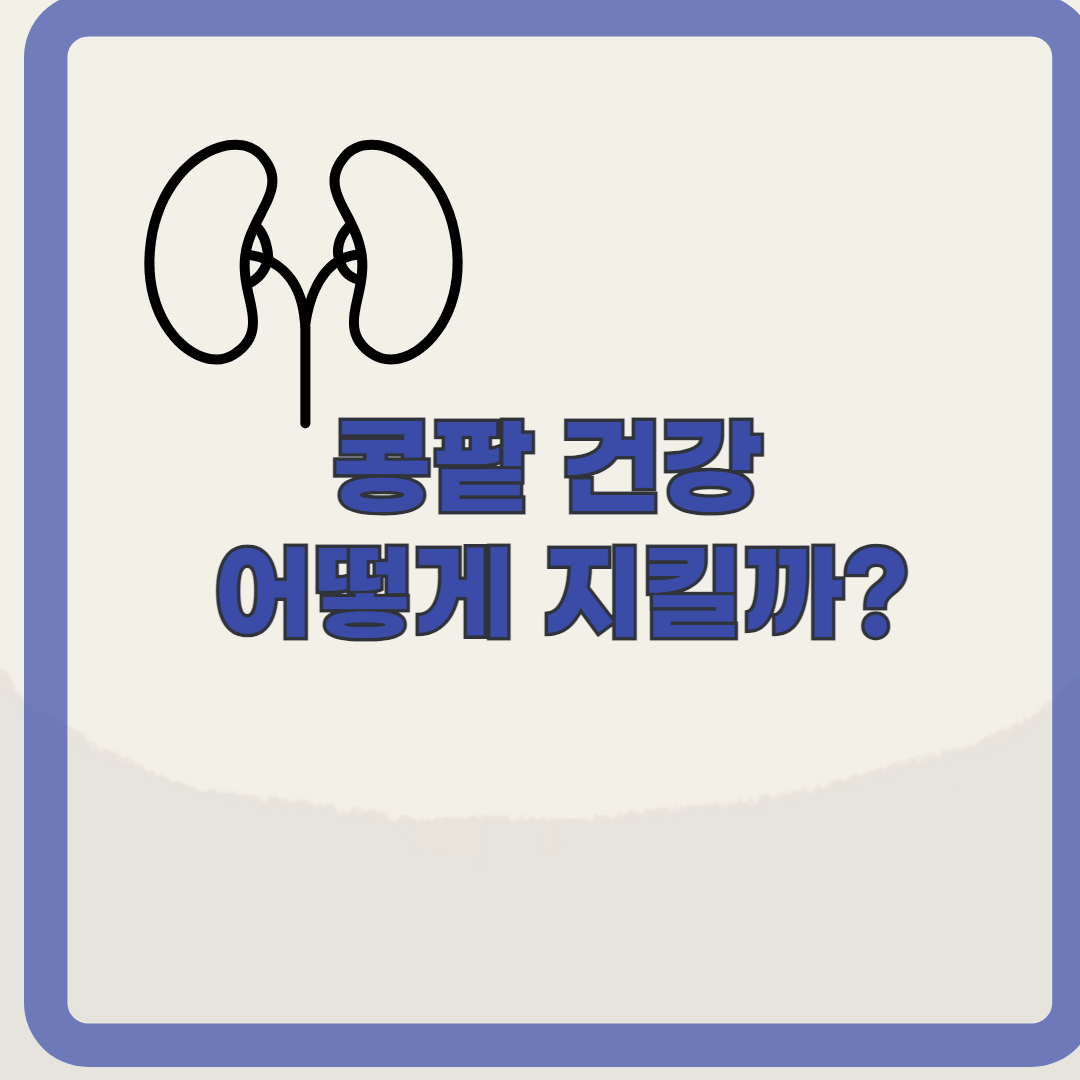 콩팥이 안 좋으면 나타나는 증상, 예방법 알아보기