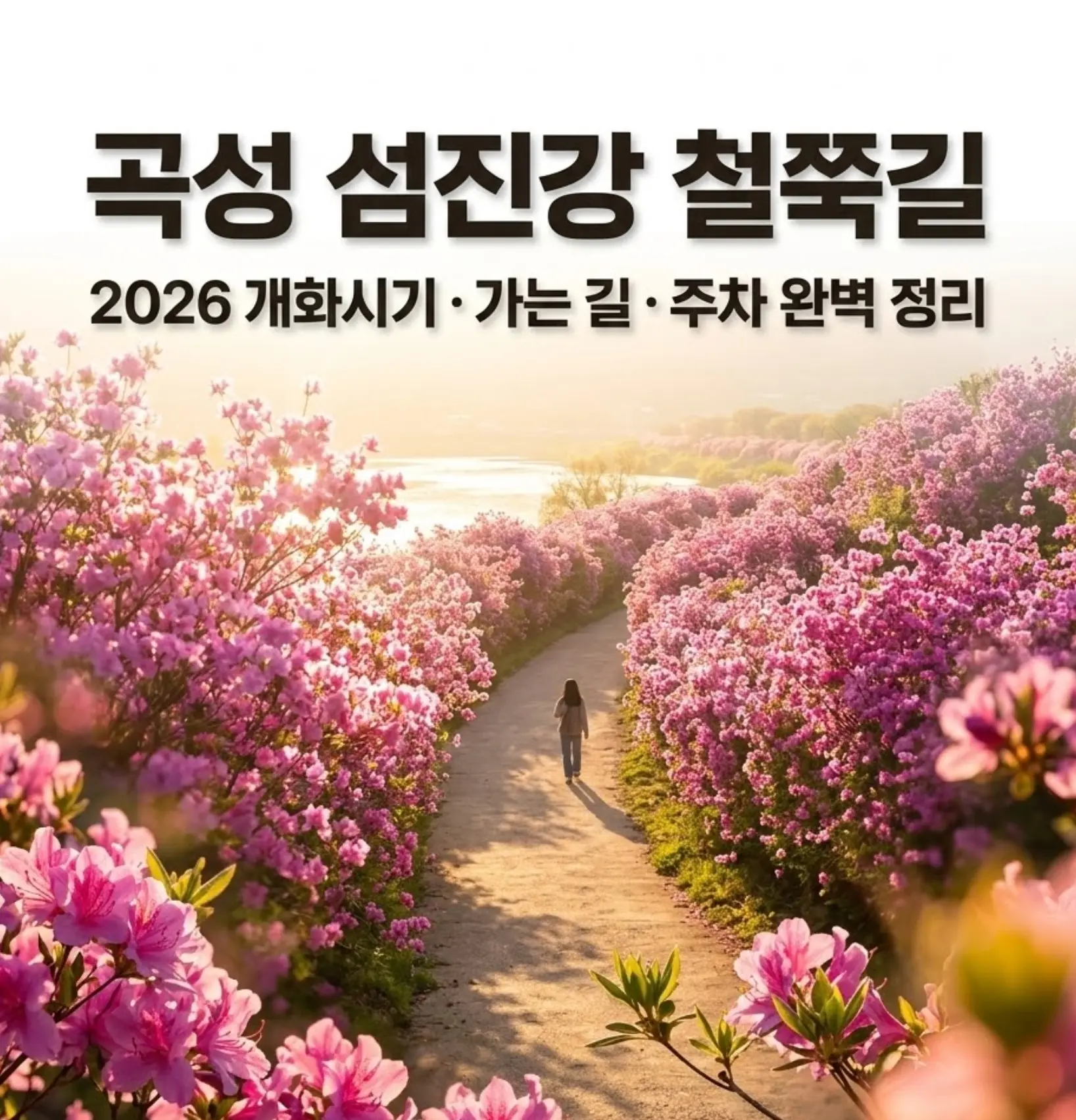 골든아워 빛을 받아 붉게 물든 곡성 섬진강 철쭉길, 만개한 진달래 사이로 이어지는 강변 산책로와 멀리 보이는 강물이 어우러진 여행 블로그 썸네일