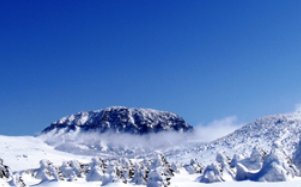 한라산의 겨울