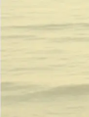 애드센스와 유튜브 연결