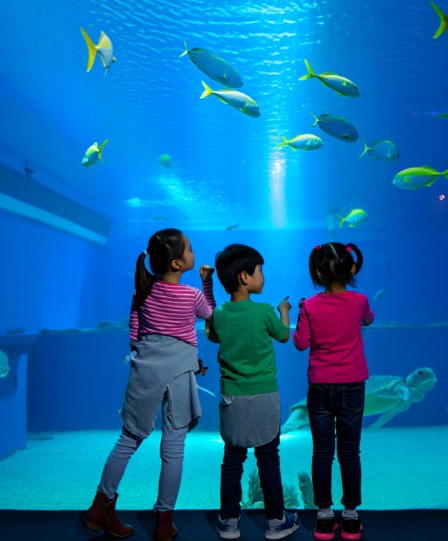 7월 장마 기간, 여름 휴가 갈만한 곳 전라도 실내 여행지 추천