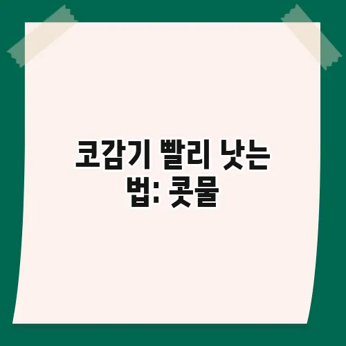 코감기 빨리 낫는 법: 콧물, 코막힘 증상 완화 꿀팁