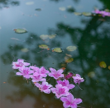 여수 가볼만한곳 베스트10