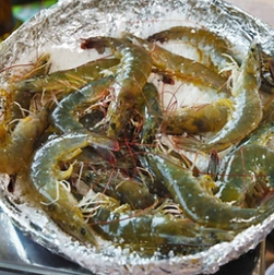 생방송 투데이 홍성 남당항대하축제 광천토굴새우젓 대축제 바비큐페스티벌