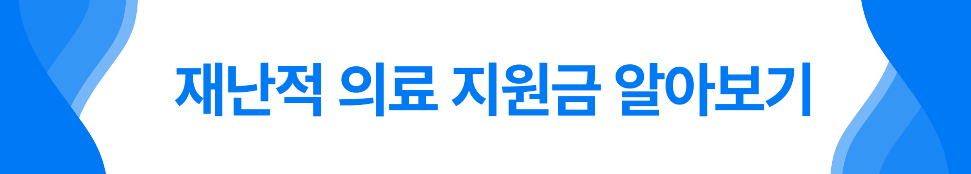 재난적 의료지원금