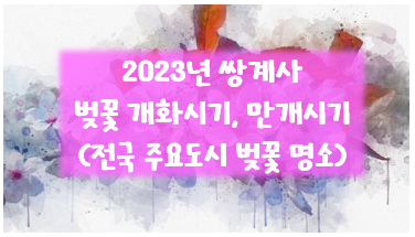 2023년-쌍계사-벚꽃-개화시기-만개시기