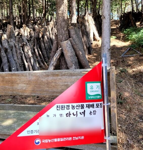 오늘N 가족이 뭐길래 솔향 가득 자연이 키운 마니네농장 유기농표고버섯